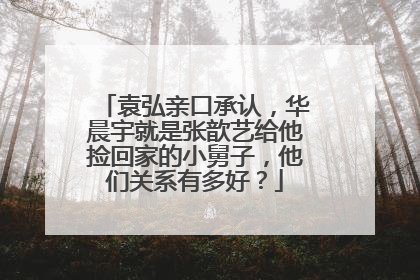 袁弘亲口承认，华晨宇就是张歆艺给他捡回家的小舅子，他们关系有多好？