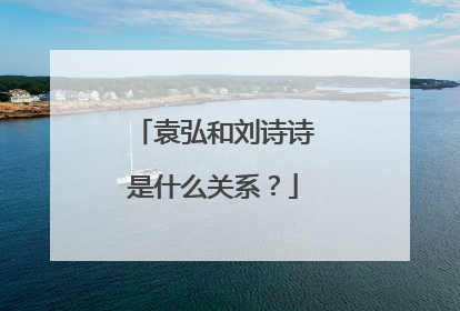 袁弘和刘诗诗是什么关系?