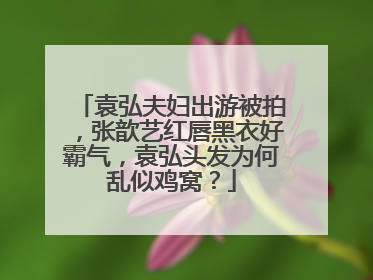 袁弘夫妇出游被拍,张歆艺红唇黑衣好霸气,袁弘头发为何乱似鸡窝?