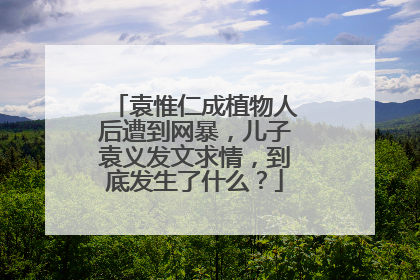 袁惟仁成植物人后遭到网暴，儿子袁义发文求情，到底发生了什么？