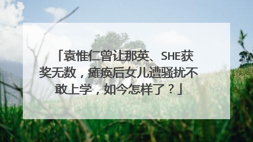 袁惟仁曾让那英、SHE获奖无数,瘫痪后女儿遭骚扰不敢上学,如今怎样了?
