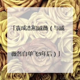 袁成杰和戚薇（与戚薇各自单飞9年后）