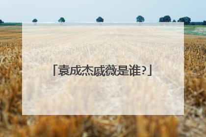 袁成杰戚薇是谁?