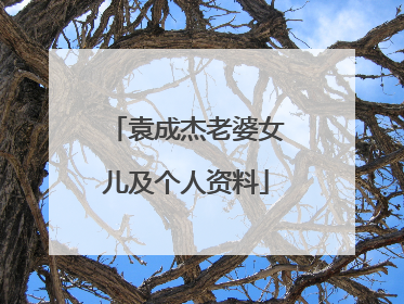 袁成杰老婆女儿及个人资料