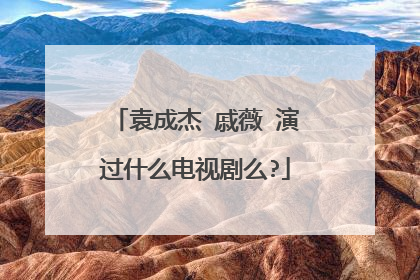 袁成杰 戚薇 演过什么电视剧么?