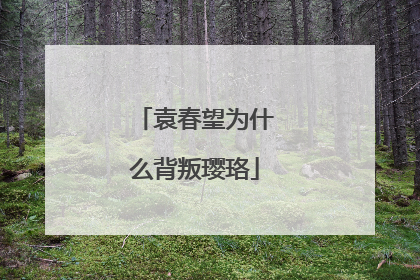 袁春望为什么背叛璎珞