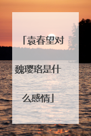 袁春望对魏璎珞是什么感情