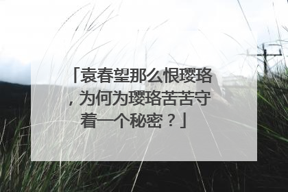 袁春望那么恨璎珞，为何为璎珞苦苦守着一个秘密？
