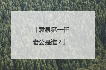 袁泉第一任老公是谁?