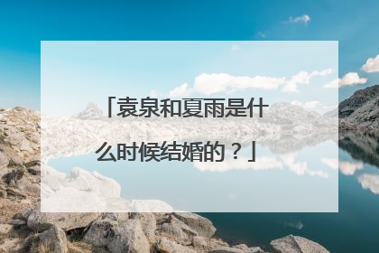 袁泉和夏雨是什么时候结婚的?