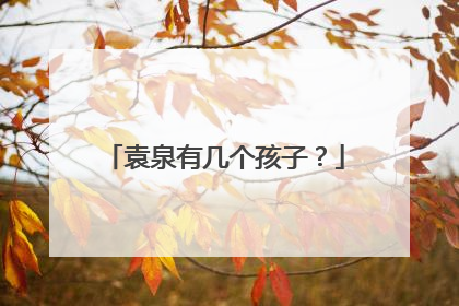 袁泉有几个孩子?