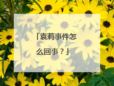 袁莉事件怎么回事?