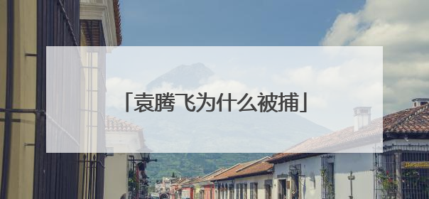 袁腾飞为什么被捕