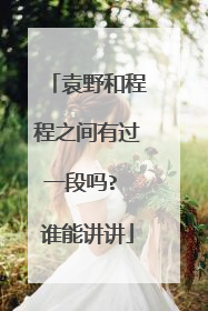 袁野和程程之间有过一段吗? 谁能讲讲