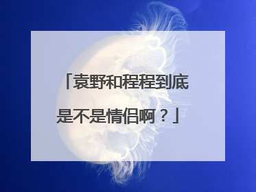 袁野和程程到底是不是情侣啊?