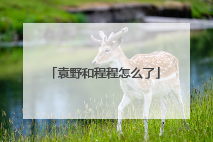 袁野和程程怎么了