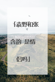 袁野和张含韵 是情侣吗