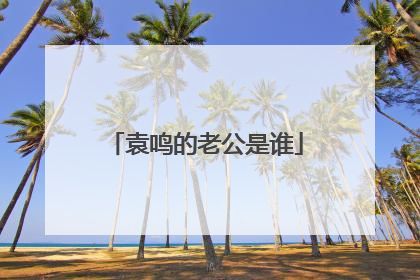 袁鸣的老公是谁