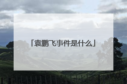 袁鹏飞事件是什么