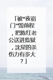 被“夜宿门”毁前程，把陈红老公送进监狱，沈星的杀伤力有多大？