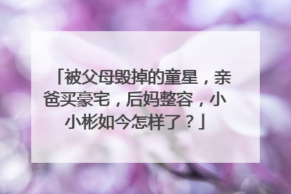 被父母毁掉的童星，亲爸买豪宅，后妈整容，小小彬如今怎样了？