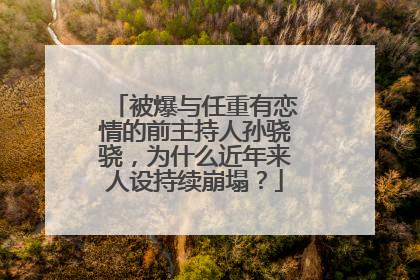 被爆与任重有恋情的前主持人孙骁骁，为什么近年来人设持续崩塌？