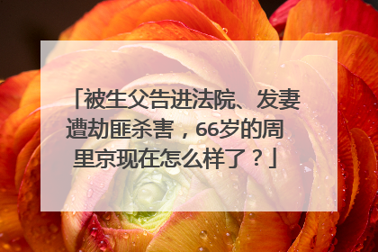 被生父告进法院、发妻遭劫匪杀害,66岁的周里京现在怎么样了?