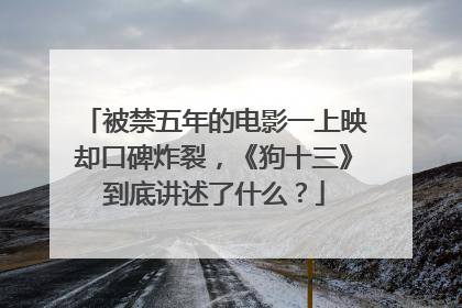 被禁五年的电影一上映却口碑炸裂，《狗十三》到底讲述了什么？