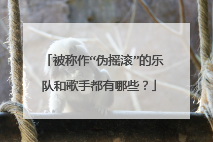 被称作“伪摇滚”的乐队和歌手都有哪些？