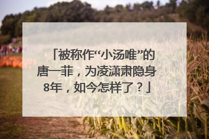 被称作“小汤唯”的唐一菲，为凌潇肃隐身8年，如今怎样了？