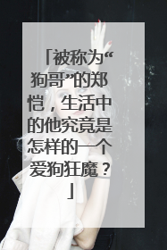 被称为“狗哥”的郑恺，生活中的他究竟是怎样的一个爱狗狂魔？