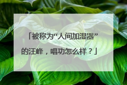 被称为“人间加湿器”的汪峰，唱功怎么样？