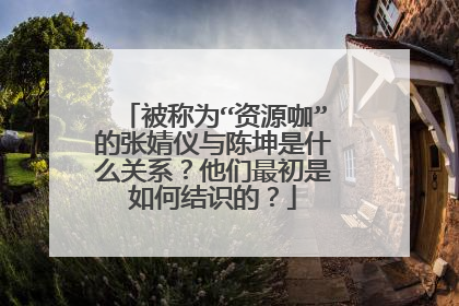 被称为“资源咖”的张婧仪与陈坤是什么关系?他们最初是如何结识的?