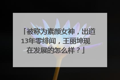 被称为素颜女神，出道13年零绯闻，王丽坤现在发展的怎么样？