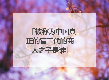 被称为中国真正的富二代的商人之子是谁