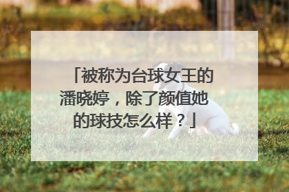 被称为台球女王的潘晓婷，除了颜值她的球技怎么样？