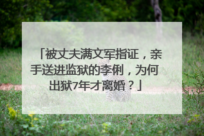 被丈夫满文军指证,亲手送进监狱的李俐,为何出狱7年才离婚?