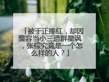 被于正捧红,却因整容当小三遭群星讽,张檬究竟是一个怎么样的人?
