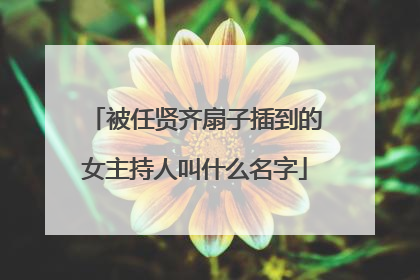 被任贤齐扇子插到的女主持人叫什么名字