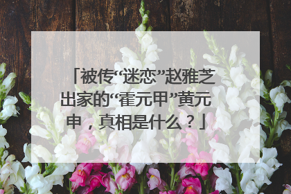 被传“迷恋”赵雅芝出家的“霍元甲”黄元申,真相是什么?