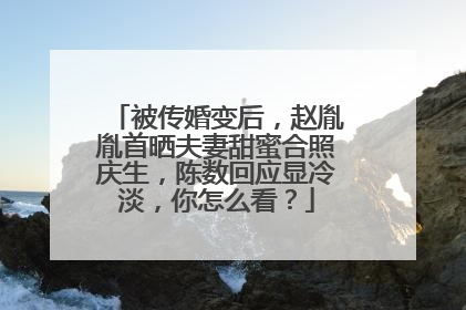 被传婚变后,赵胤胤首晒夫妻甜蜜合照庆生,陈数回应显冷淡,你怎么看?