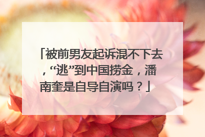 被前男友起诉混不下去,“逃”到中国捞金,潘南奎是自导自演吗?