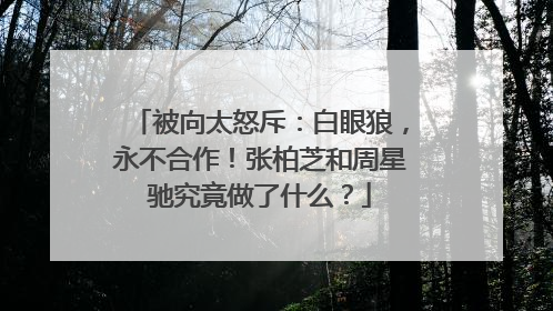 被向太怒斥：白眼狼，永不合作！张柏芝和周星驰究竟做了什么？