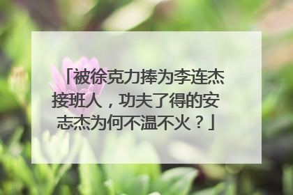 被徐克力捧为李连杰接班人，功夫了得的安志杰为何不温不火？