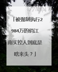 被强制执行2984万的俏江南实控人到底是啥来头？