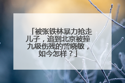 被张铁林暴力抢走儿子，追到北京被撞九级伤残的訾晓敏，如今怎样？