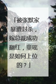 被张默家暴遭封杀,嫁总裁成功翻红,童瑶是如何上位的?