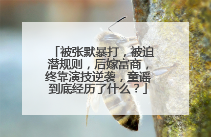 被张默暴打,被迫潜规则,后嫁富商,终靠演技逆袭,童谣到底经历了什么?