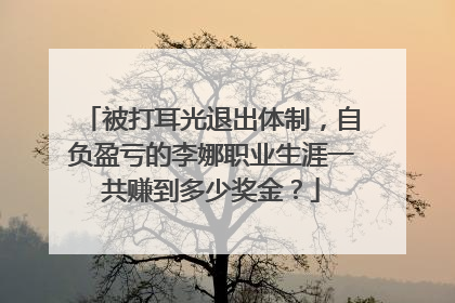 被打耳光退出体制，自负盈亏的李娜职业生涯一共赚到多少奖金？