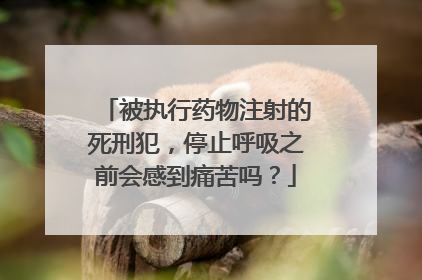被执行药物注射的死刑犯，停止呼吸之前会感到痛苦吗？